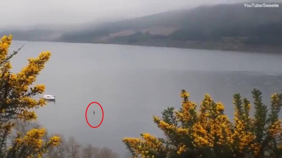 Scozia, si rivede il mostro di Loch Ness? Il video dell'avvistamento Video Gazzetta.it